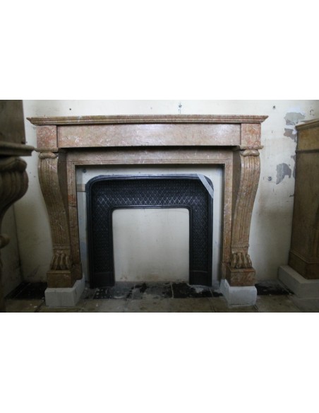 Antique Empire-style fireplace mantel, known as "Lion's Paws" carved in yellow floral marble and coming from Paris.