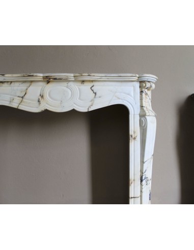 Antique Louis XV Pied Galbé mantelpiece in Paonazzetto marble. This is a highly refined mantelpiece in a stunning marble.