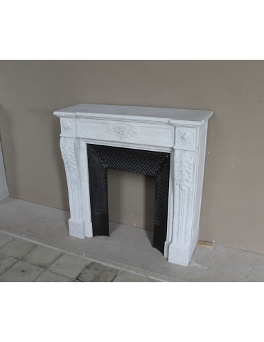Neoclassical "Trois Fleurs" fireplace mantel in white marble with cast iron insert, small size and rich decorative detailing.