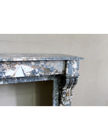 Antique “Palmettes” fireplace in a charmingly compact size, carved in Black marble with richly varied multicoloured veining.