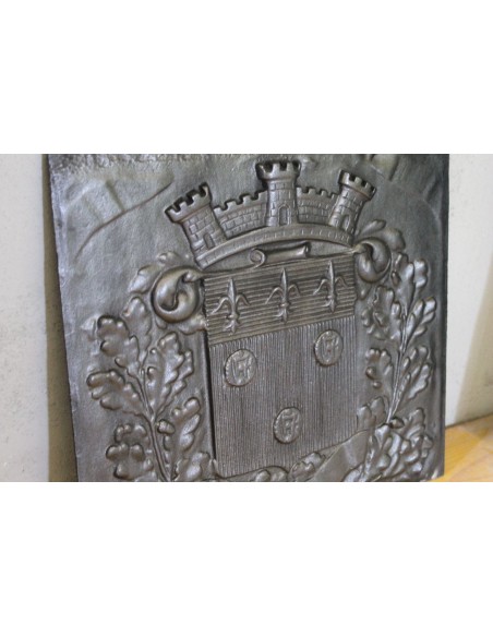 113 PICCOLA E GRAZIOSA (ANCHE UN POCO LEGHISTA) PIASTRA DA CAMINO CON STEMMA