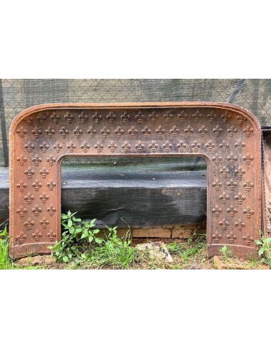 Antique cast iron insert featuring a geometric fleur-de-lis pattern and big dimensions.