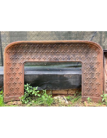 Antique cast iron insert featuring a geometric fleur-de-lis pattern and big dimensions.