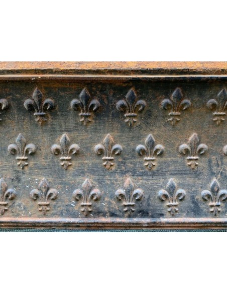 Antique cast iron insert featuring a geometric fleur-de-lis pattern and big dimensions, for marble mantels.
