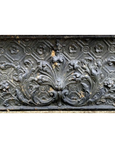 CG 042 FLOREALE CAMINO CONTROCUORE LUIGI XIV IN...