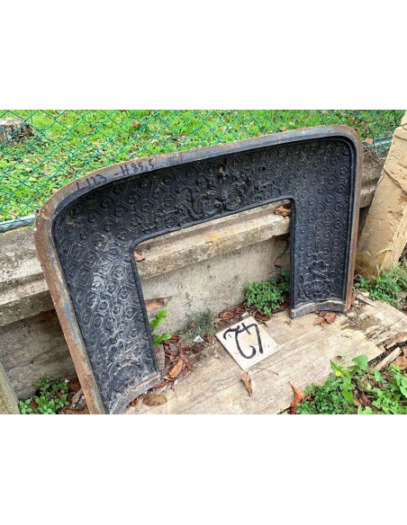 CG 042 FLOREALE CAMINO CONTROCUORE LUIGI XIV IN GHISA ARTISTICA