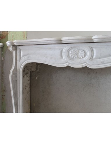 035 ONE-OF-A-KIND LOUIS XV "ORCHIS" FIREPLACE...