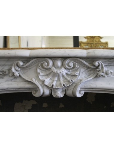 302 VERY RARE LOUIS XIV FLORAL FIREPLACE MANTEL...