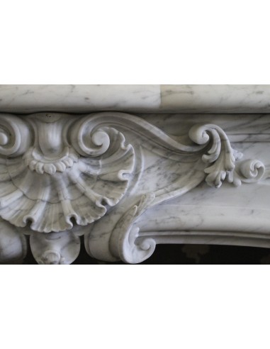 302 VERY RARE LOUIS XIV FLORAL FIREPLACE MANTEL...