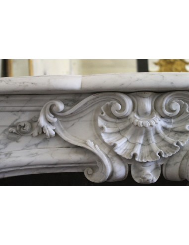 302 VERY RARE LOUIS XIV FLORAL FIREPLACE MANTEL...