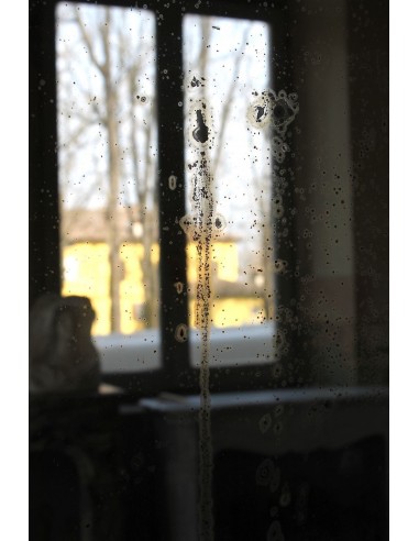 261 SPECCHIERA LUIGI XV IN FOGLIA D'ORO DI...