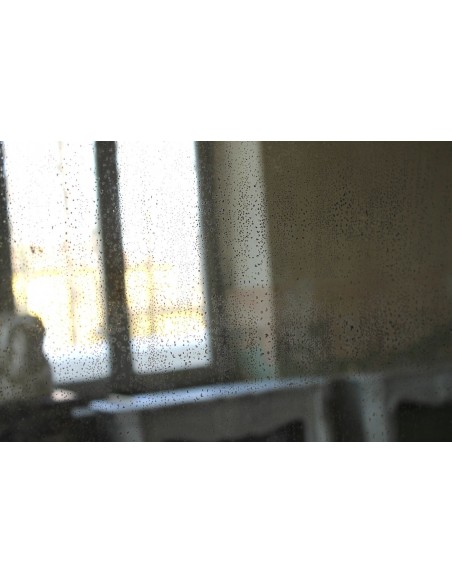 004 PICCOLA SPECCHIERA LUIGI FILIPPO DORATA CON DECORI FLOREALI