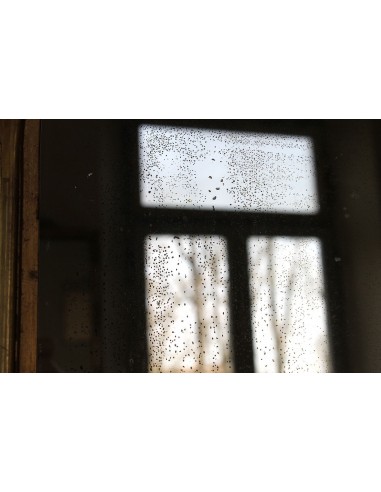 004 PICCOLA SPECCHIERA LUIGI FILIPPO DORATA CON...