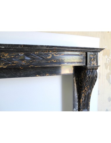 503 AG EXCEPTIONAL "GRIFFE DE LION" FIREPLACE...