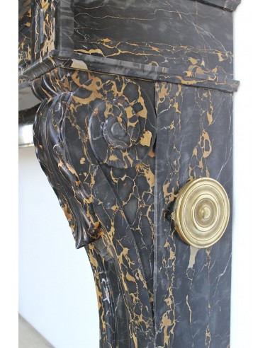 503 AG EXCEPTIONAL "GRIFFE DE LION" FIREPLACE...