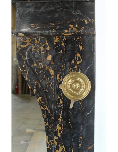 503 AG EXCEPTIONAL "GRIFFE DE LION" FIREPLACE...