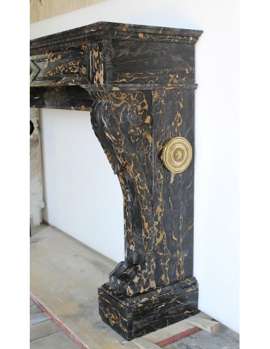 503 AG EXCEPTIONAL "GRIFFE DE LION" FIREPLACE...