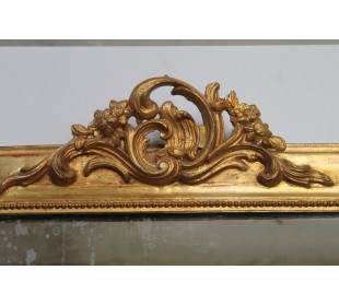 108P SPECCHIERA LUIGI FILIPPO CON CIMASA ROCAILLE 2