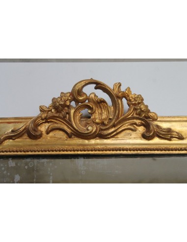 108P SPECCHIERA LUIGI FILIPPO CON CIMASA ROCAILLE