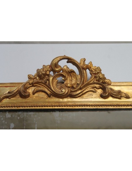 108P SPECCHIERA LUIGI FILIPPO CON CIMASA ROCAILLE