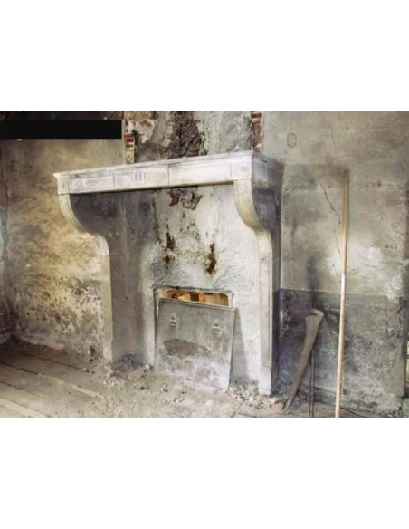 Antique large "Champagnard" fireplace mantel carved out of "Pierre Dorée" stone, for classy country houses.